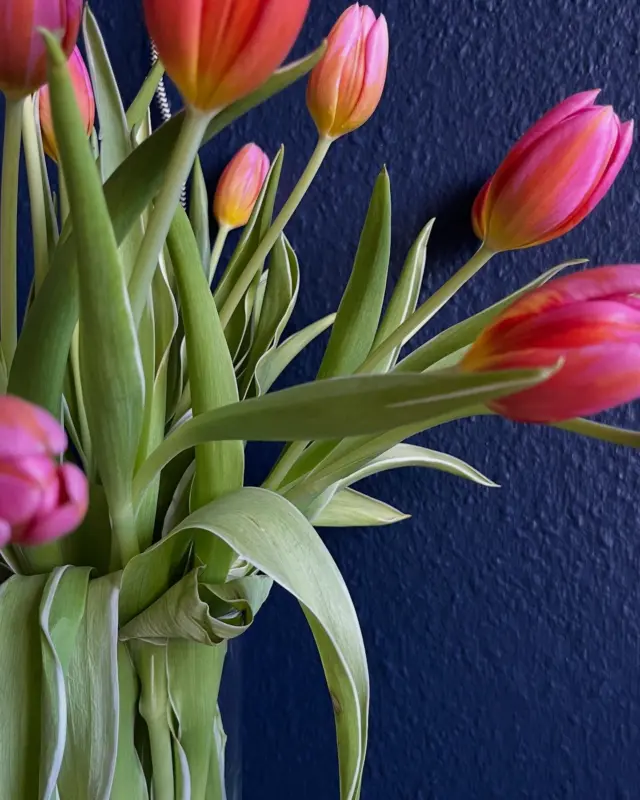 Allen ein ganz wunderbares, langes Wochenende! 
Schöne Ostern!